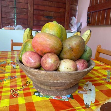 Apartmán Cocon Tropical Vieux-Habitants Exteriér fotografie