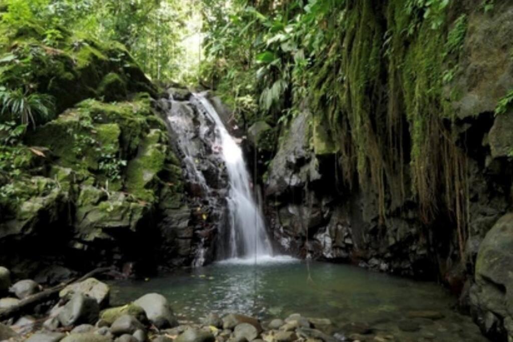 Apartmán Cocon Tropical Vieux-Habitants Exteriér fotografie