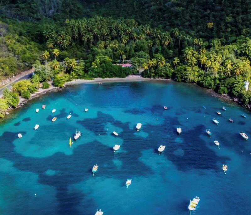 Apartmán Cocon Tropical Vieux-Habitants Exteriér fotografie