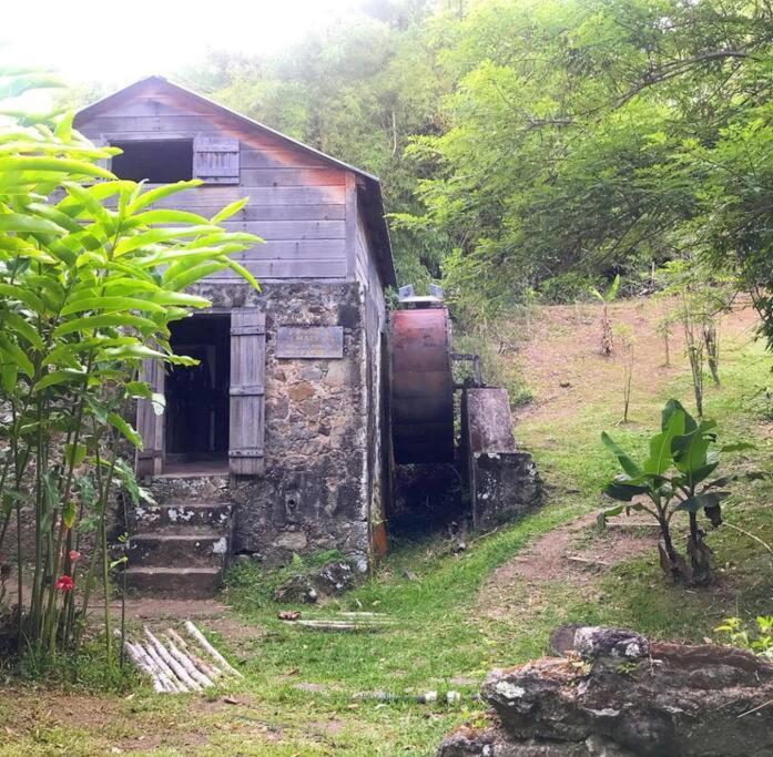 Apartmán Cocon Tropical Vieux-Habitants Exteriér fotografie