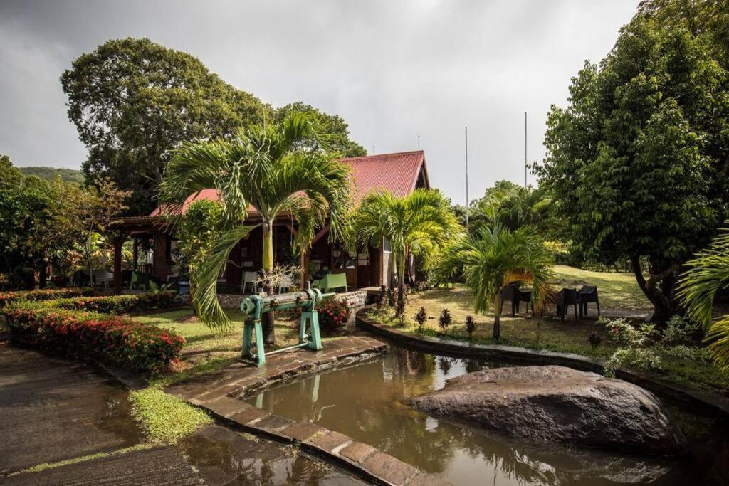Apartmán Cocon Tropical Vieux-Habitants Exteriér fotografie